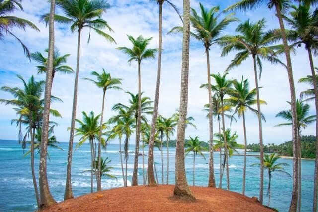 Rituale Guest House - Surf & Yoga Mirissa Bagian luar foto