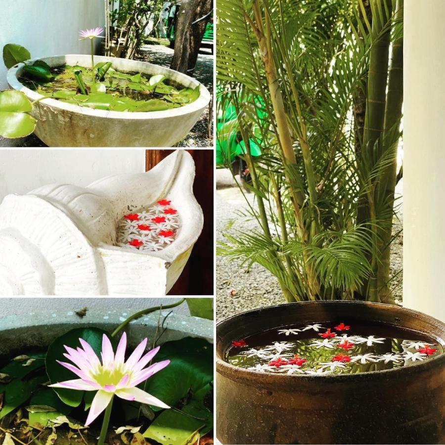Rituale Guest House - Surf & Yoga Mirissa Bagian luar foto
